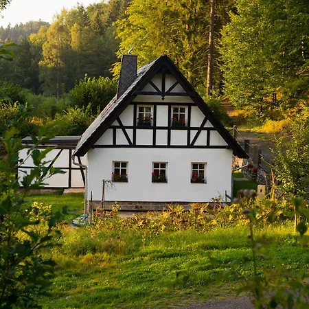 Chalupa Dlouhy Dul 19 Krasna Lipa Exterior photo